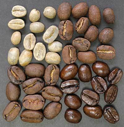 Coffee Bean Roast Levels